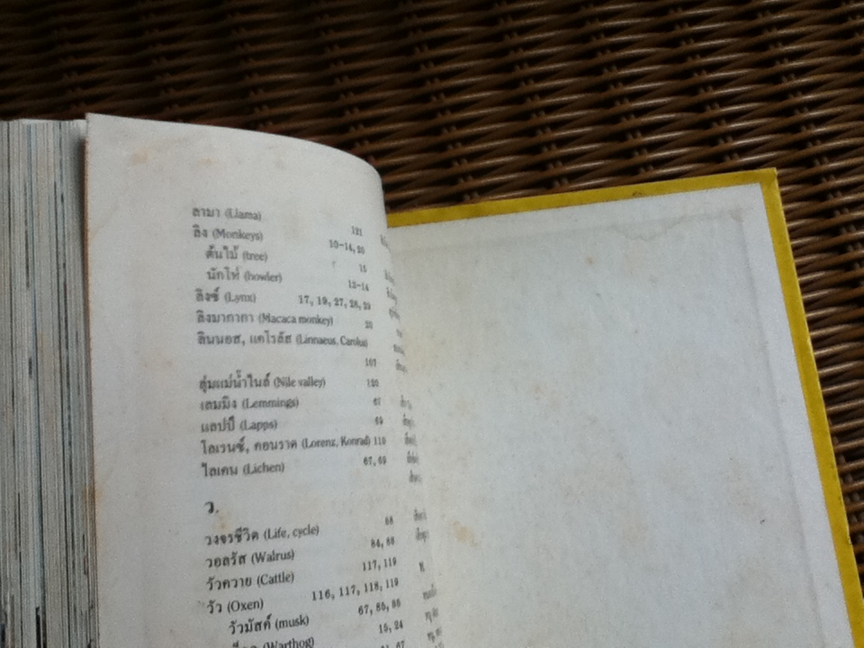 Disney's โลกมหัศจรรย์ 16 เล่ม