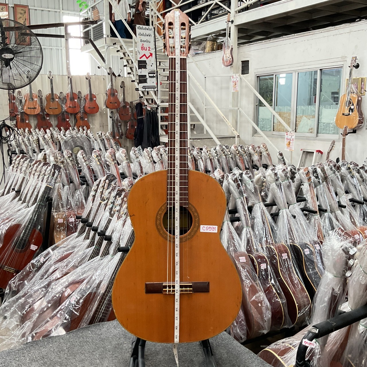 กีต้าร์คลาสสิค Kimberly : G85K