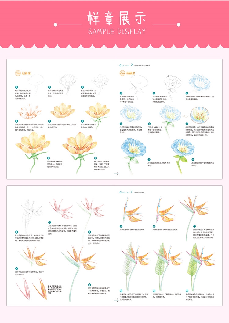 (Pre-order) หนังสือสอนระบายสีไม้ภาพดอกไม้สำหรับระดับเริ่มต้น Life is a flower