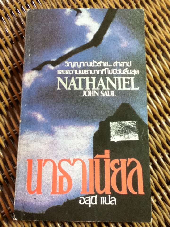 นาธาเนี่ยล/ จอห์น ซอล
