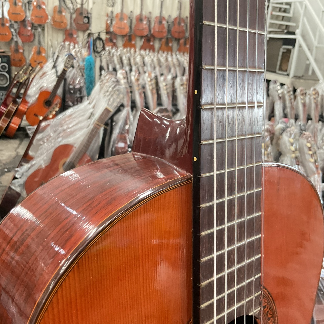 กีต้าร์คลาสสิค Shinano : No.55