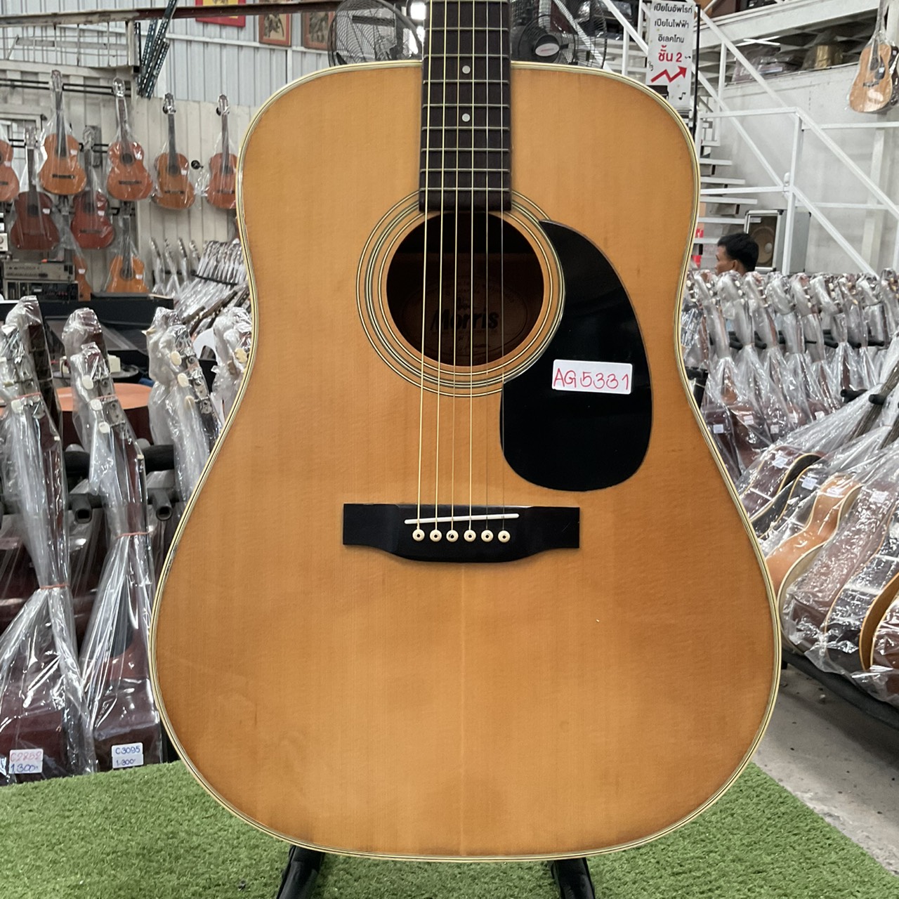 กีต้าร์โปร่ง Morris : W-18