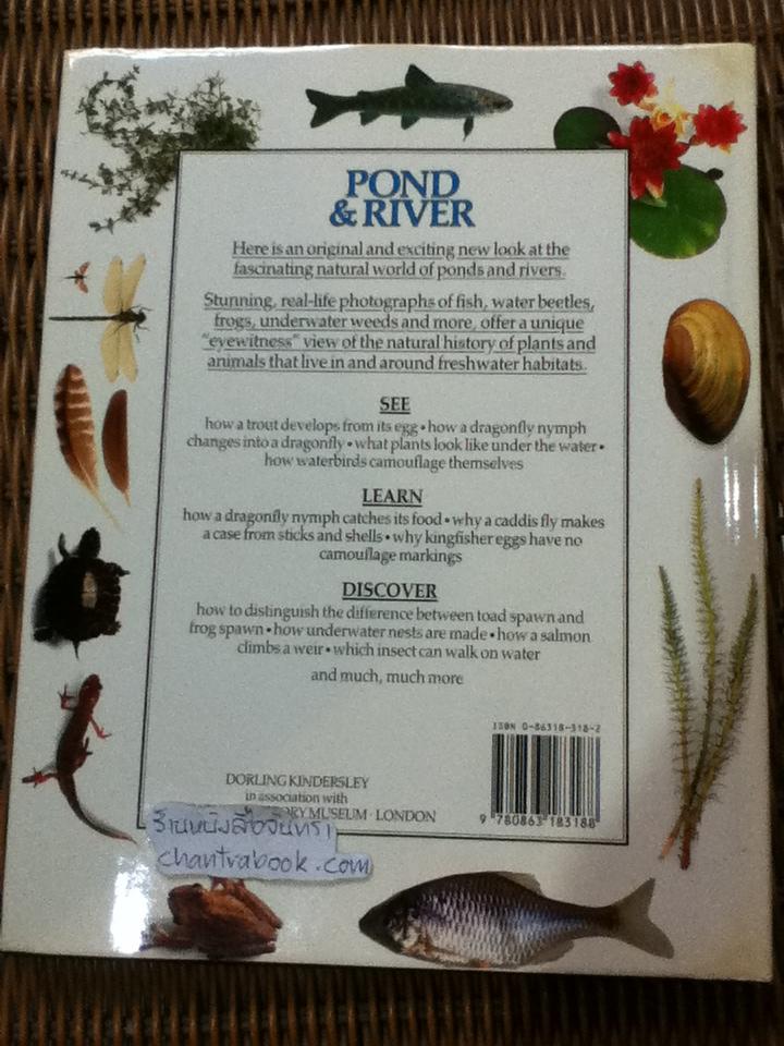 EYEWITNESS GUIDES 9 เล่ม