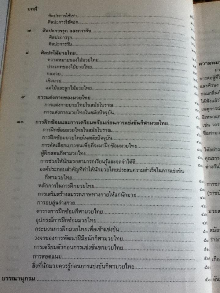 ศิลปะมวยไทย