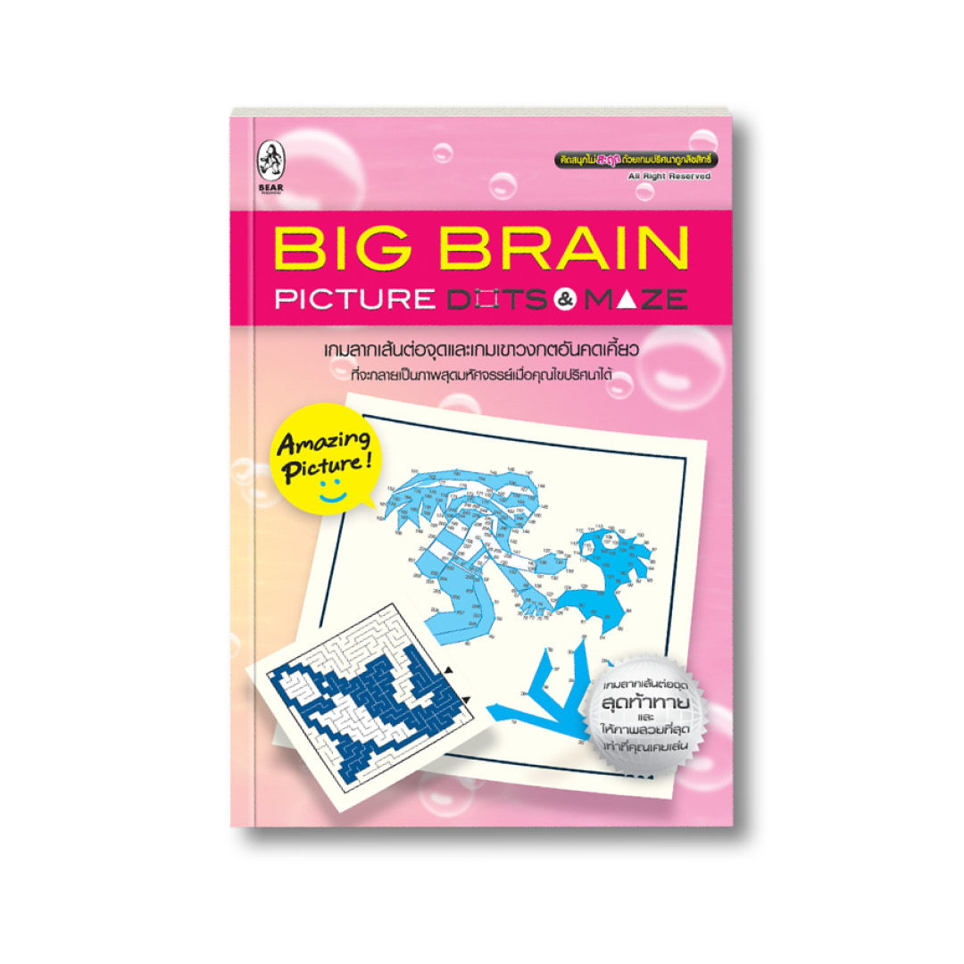 Big Brain Picture Dots & Maze (สภาพ 70%)