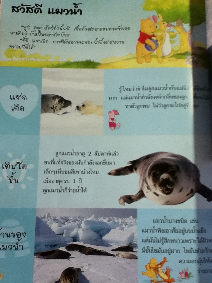 วินนีเดอะพูห์เปิดโลกการเรียนรู้ 5 เล่ม ประกอบด้วย สัตว์เลี้ยงลูกด้วยนม, สัตว์ทะเล, สัตว์เลี้อยคลานและสัตว์สะเทินน้ำสะเทินบก, แมลง และ ฤดูกาล