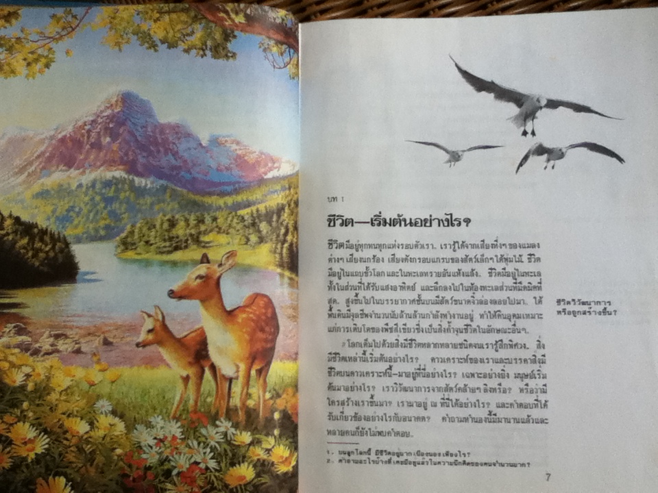 ชีวิตเกิดขึ้นมาอย่างไร? โดยวิวัฒนาการหรือมีผู้สร้าง? (ศาสนาคริสต์)