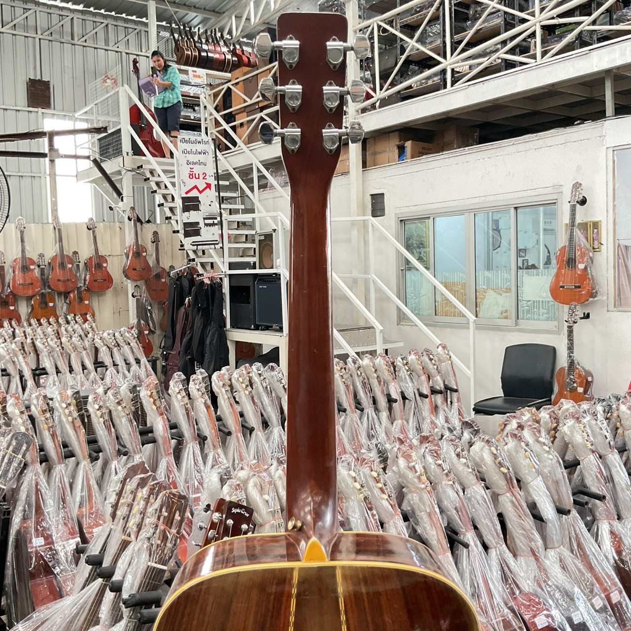 กีต้าร์โปร่ง MORRIS : SPECIAL