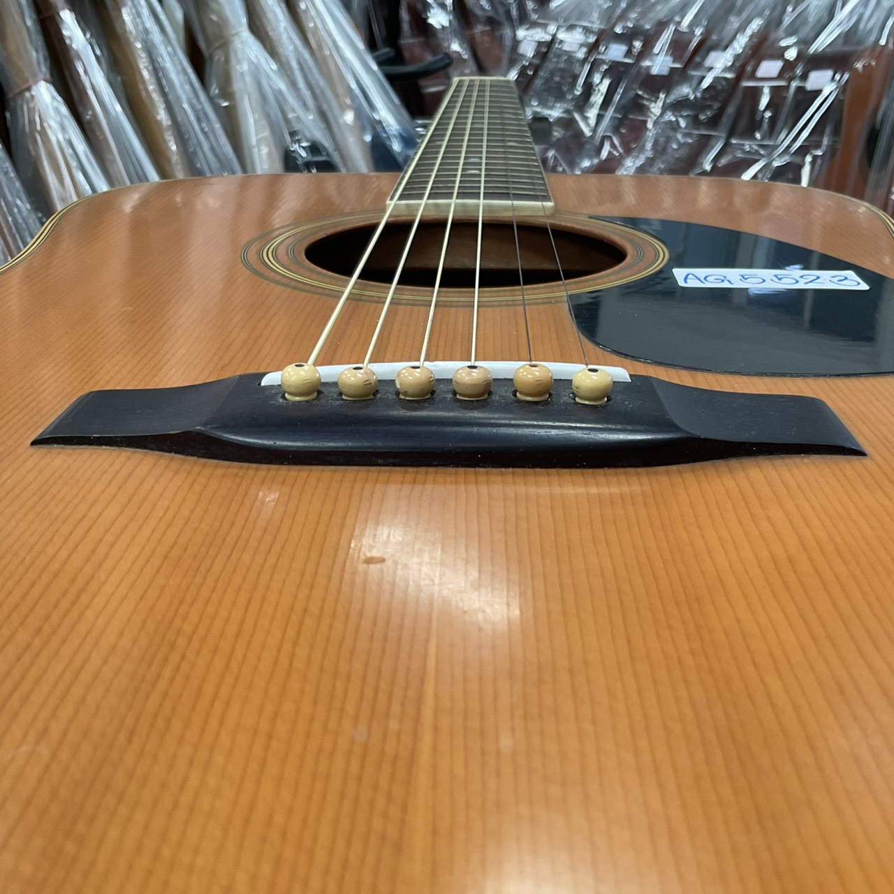 กีต้าร์โปร่ง Morris : W-20