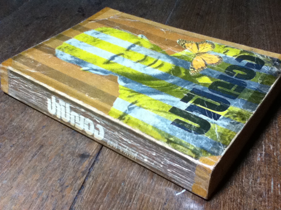 ปาปิญอง