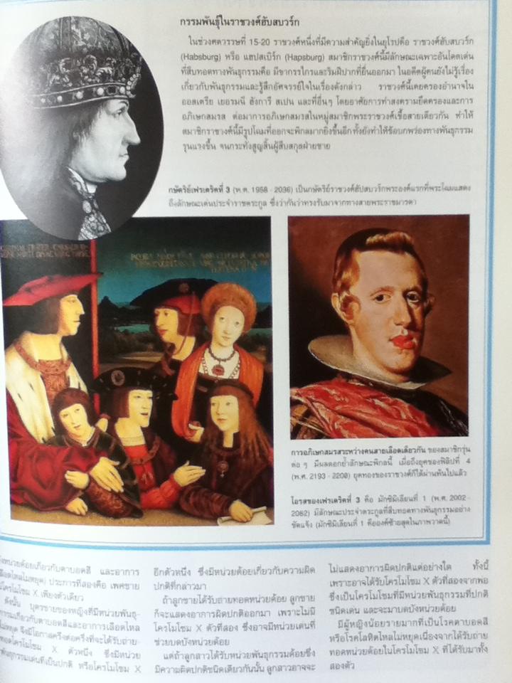 พื้นฐานแห่งกายมนุษย์