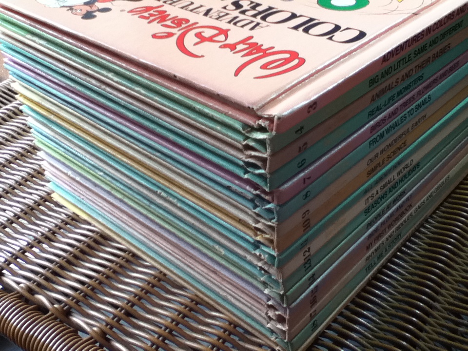 WALT DISNEY FUN-TO-LEARN LIBRARY Volume 3-19 (17 เล่ม)