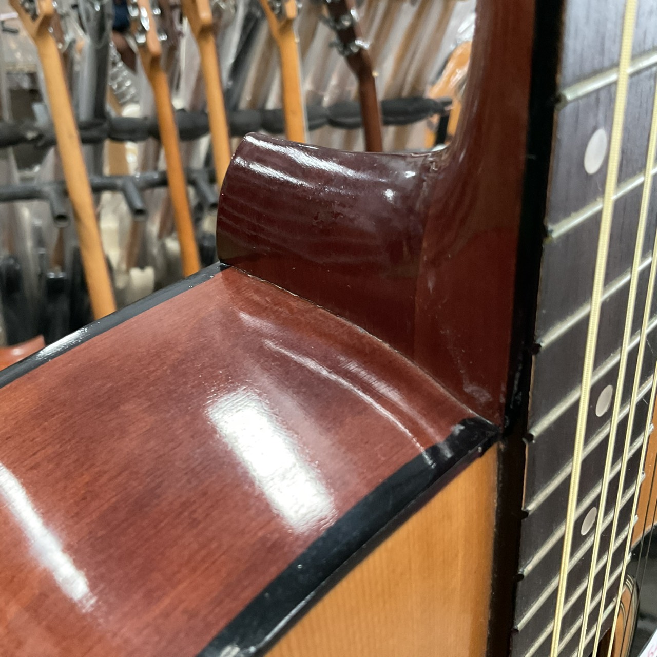 กีต้าร์โปร่ง Great Lake : F-101