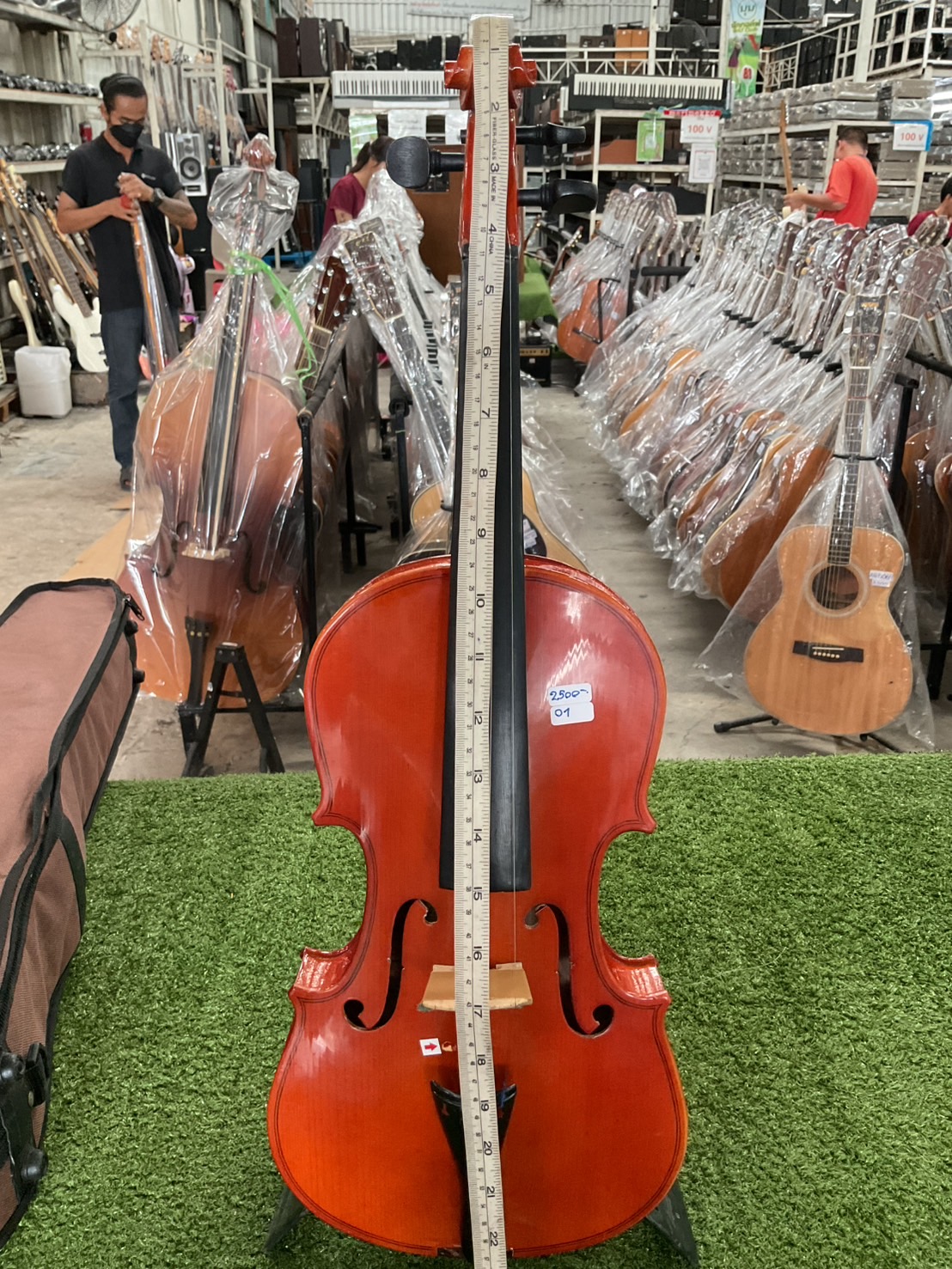 ไวโอลิน PALATINO AXL-10