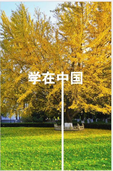 หนังสือภาษาจีน ประเทศจีนในสายตาชาวต่างชาติ: เคล็ดลับการใช้ชีวิตในประเทศจีน 101 (ฉบับภาษาจีน) 外国人眼中的中国：在华生活锦囊 101（中文版）101 Tips for Living in China (Chinese Version)