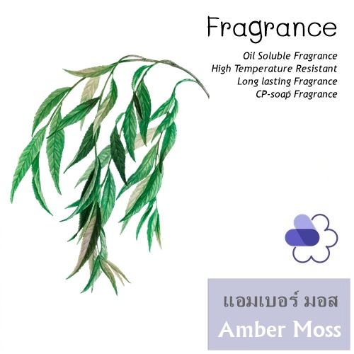 Amber Moss หัวน้ำมันหอม แอมเบอร์ มอส Fruity Aromatic Earthiness กลิ่นหอมสบายๆ ของป่าฝนและดิน ละลายในแอกอฮอล์และน้ำมัน - ไม่เร่งเทรซ