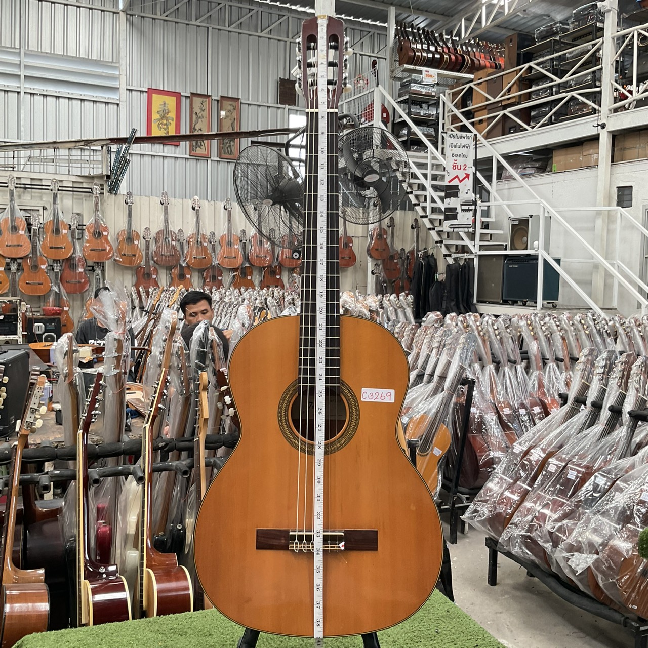 กีต้าร์คลาสสิค Tokai : No.85