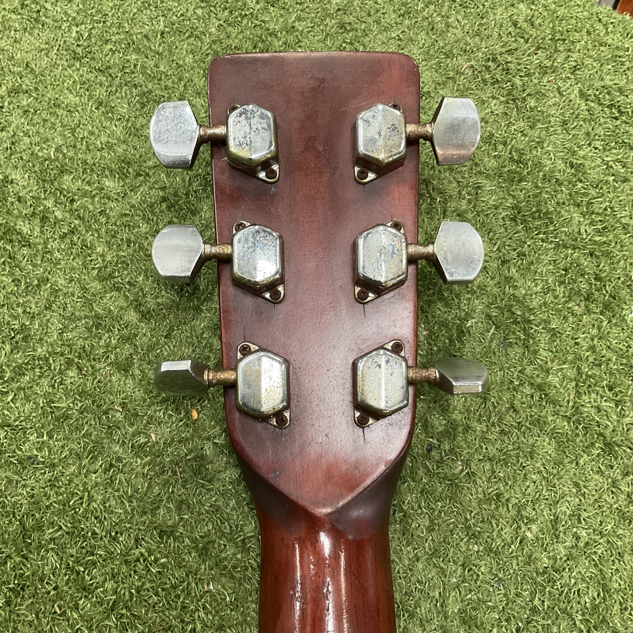 กีต้าร์โปร่ง Morris : W-25