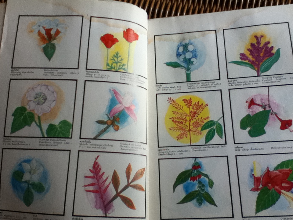 พจนานุกรมไม้ดอกไม้ประดับในเมืองไทย เล่ม 1-2/ ดร.วิทย์ เที่ยงบูรณธรรม