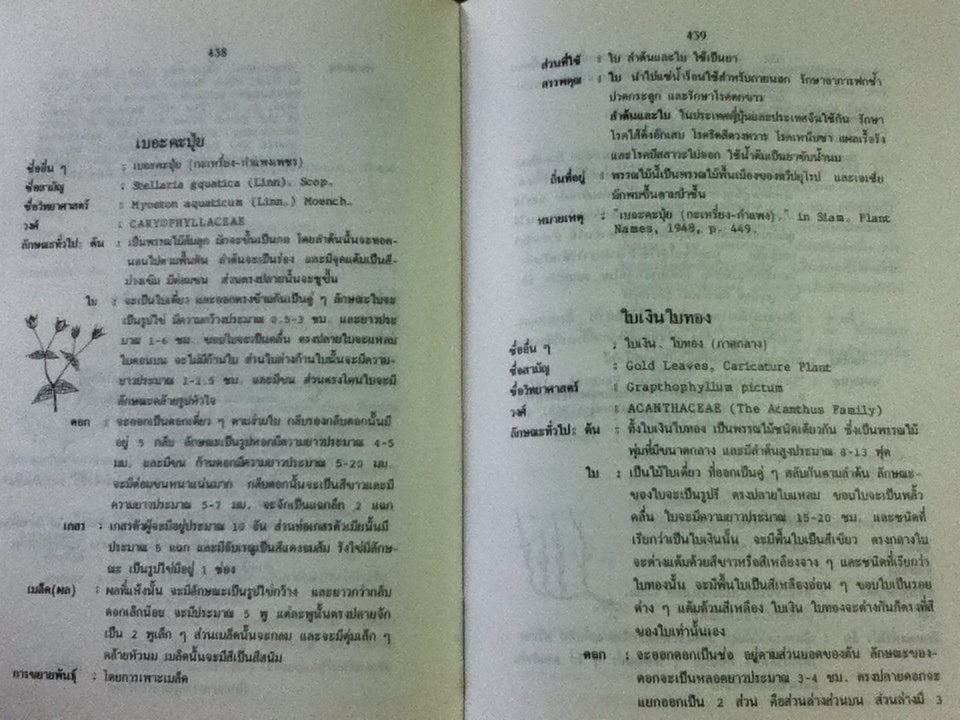 พจนานุกรมสมุนไพรไทย/ ดร.วิทย์ เที่ยงบูรณธรรม