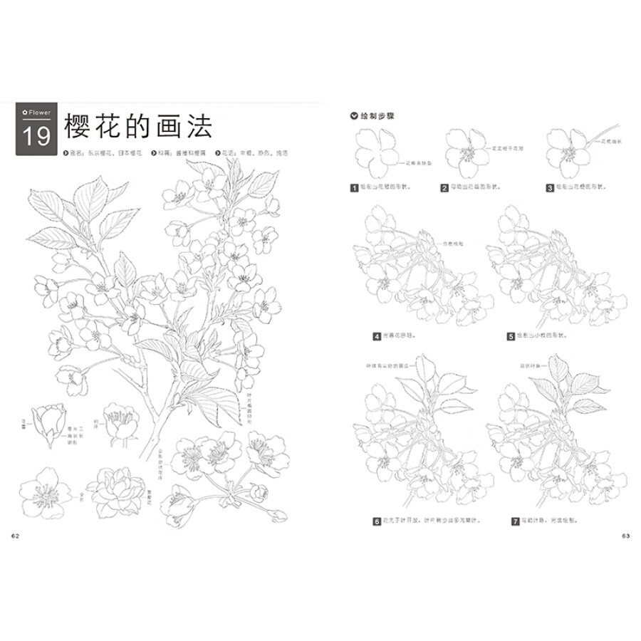 (Pre-order) หนังสือสเก็ตช์ดินสอภาพพืช