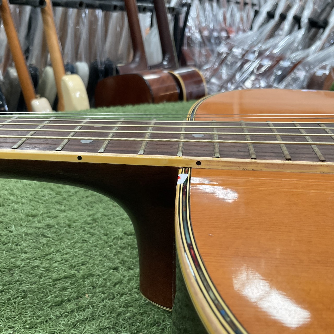 กีต้าร์โปร่ง Morris : W-30