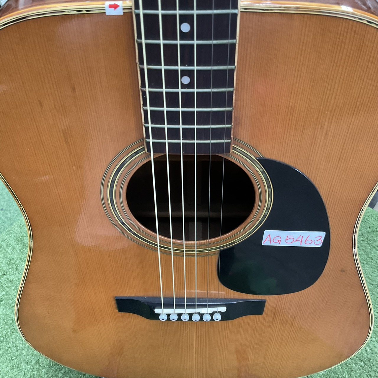 กีต้าร์โปร่ง Morris : W-25