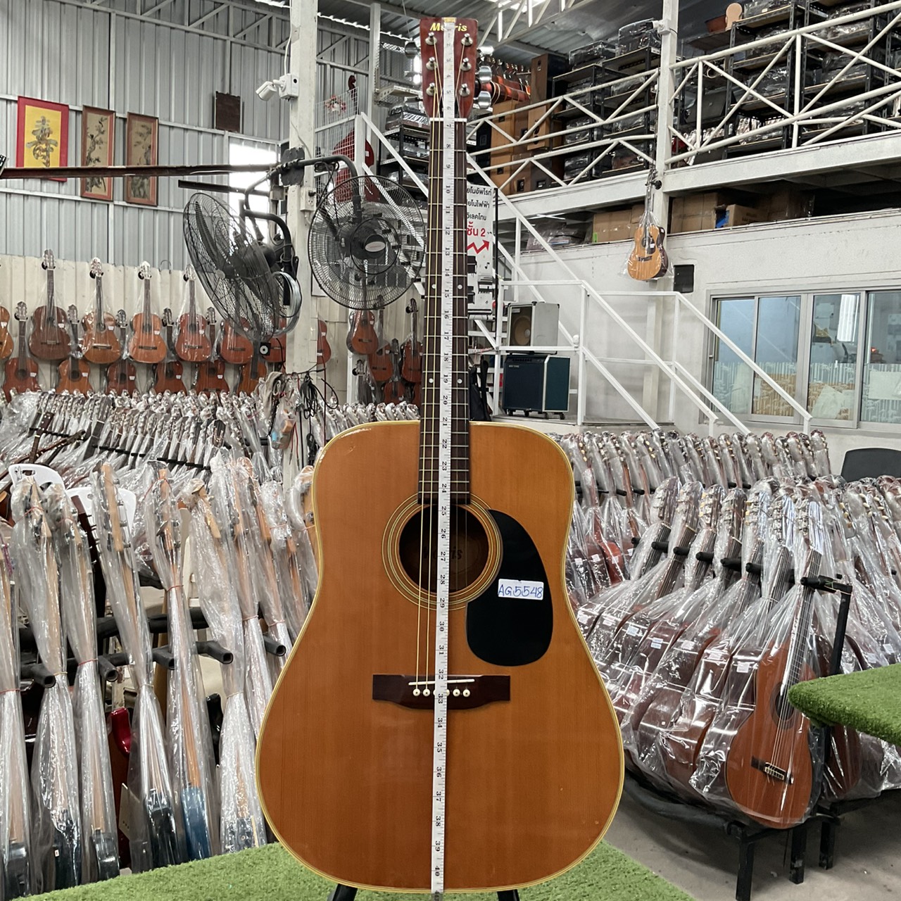 กีต้าร์โปร่ง Morris : W-18