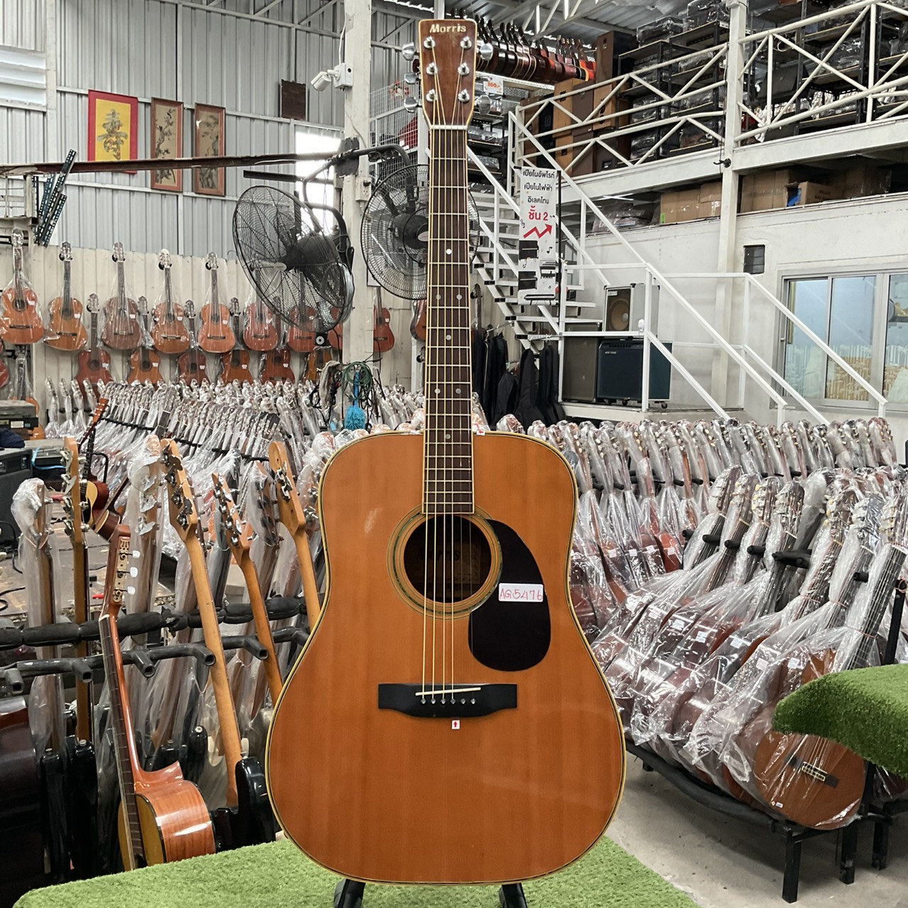กีต้าร์โปร่ง Morris : W-30