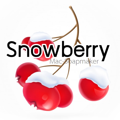 Snowberry / น้ำมันหอม สโนว์เบอรี่