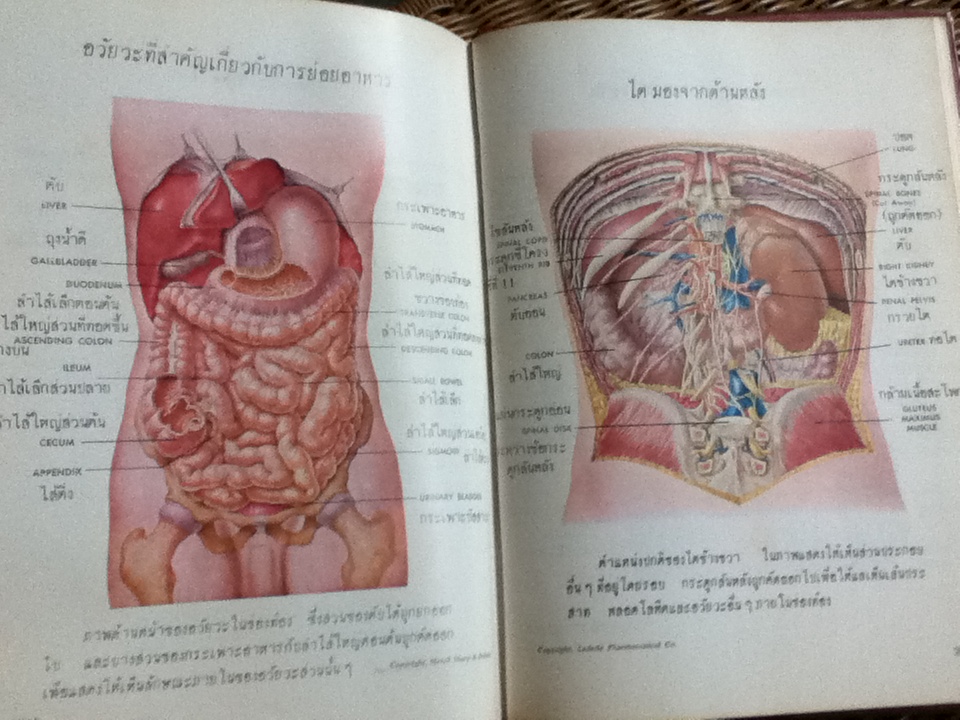 สุขภาพและพลานามัย/ คลิฟฟอร์ด อาร์. แอนเดอร์สัน M. D.