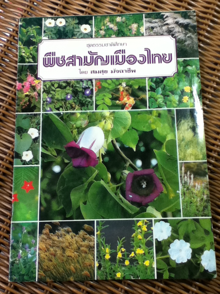 พืชสามัญเมืองไทย (หนังสือแถม)