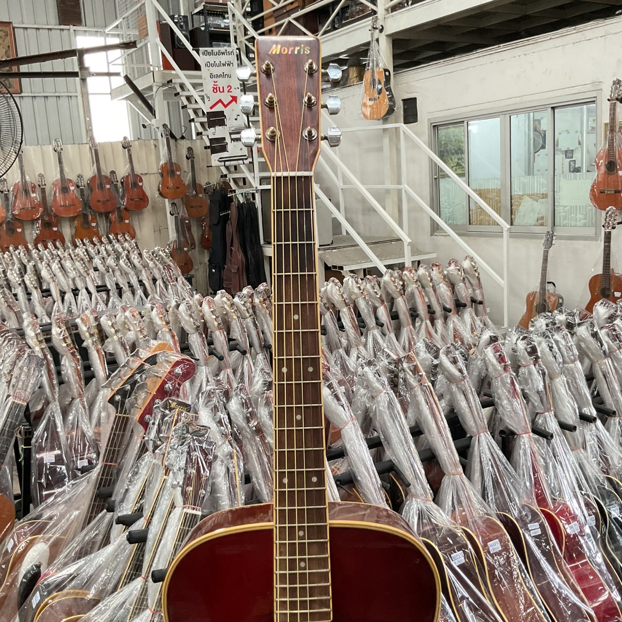 กีต้าร์โปร่ง Morris : MF-207