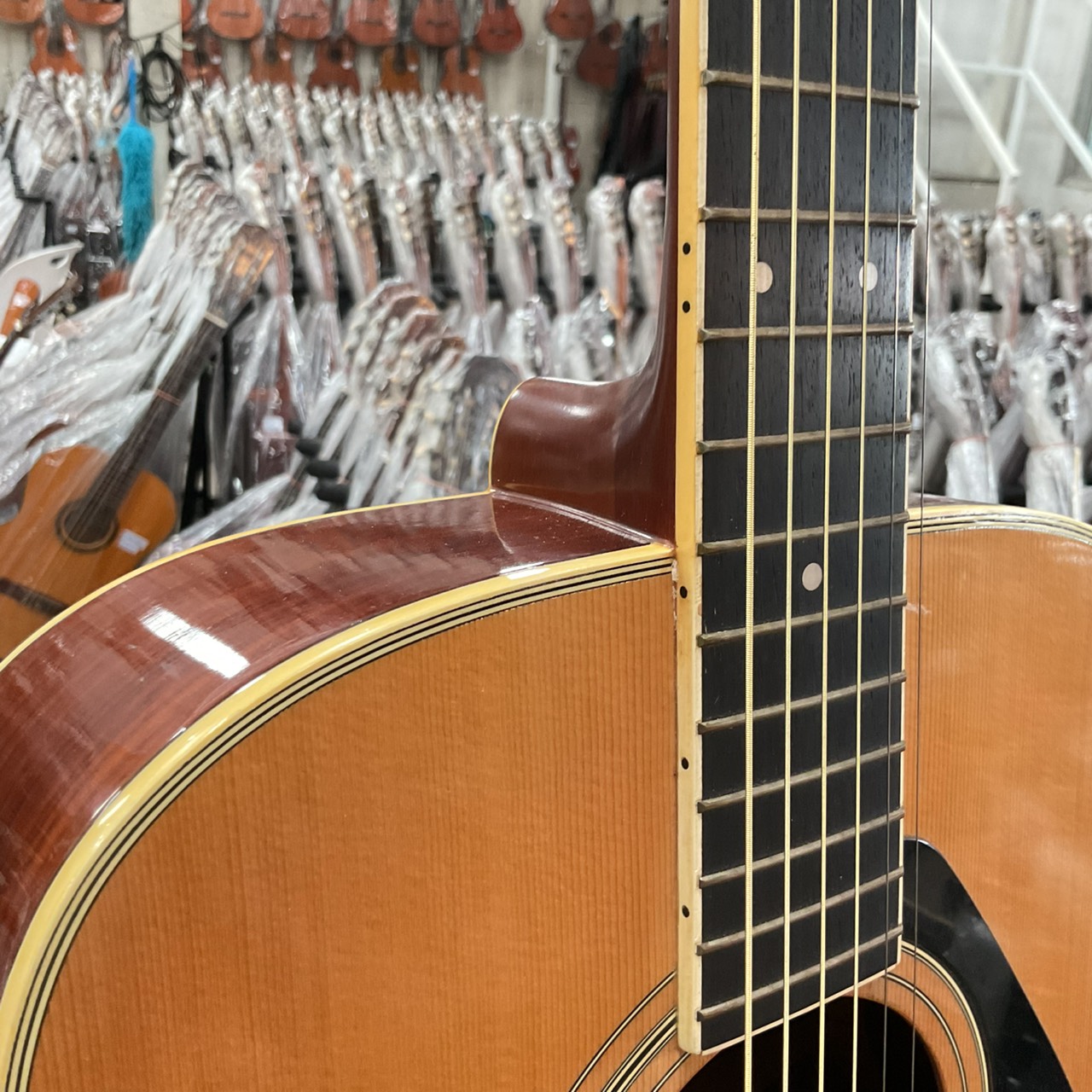 กีต้าร์โปร่ง YAMAHA : FG-252B