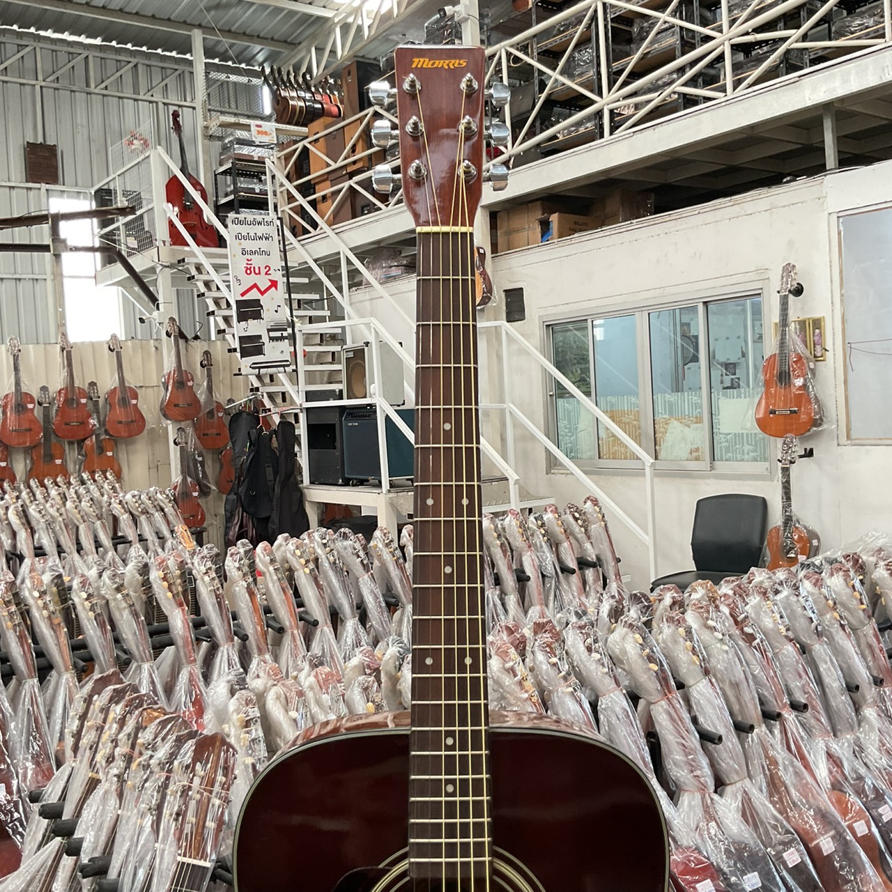 กีต้าร์โปร่ง MORRIS : MD-307LHTS