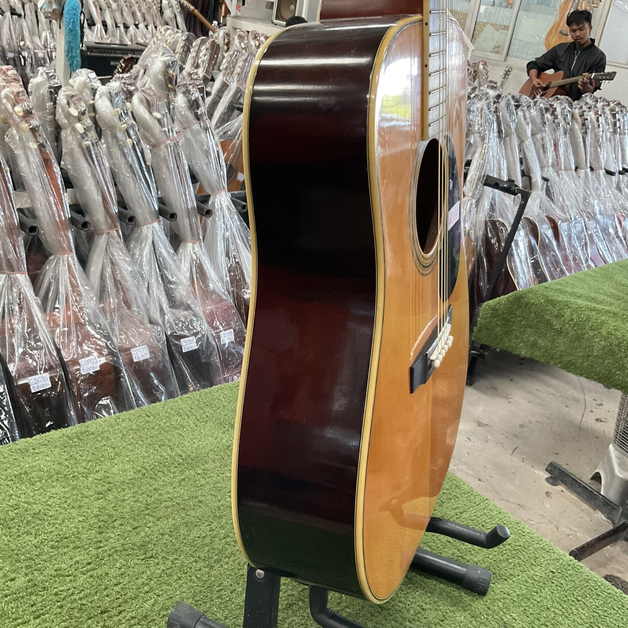 กีต้าร์โปร่ง Morris : W-25