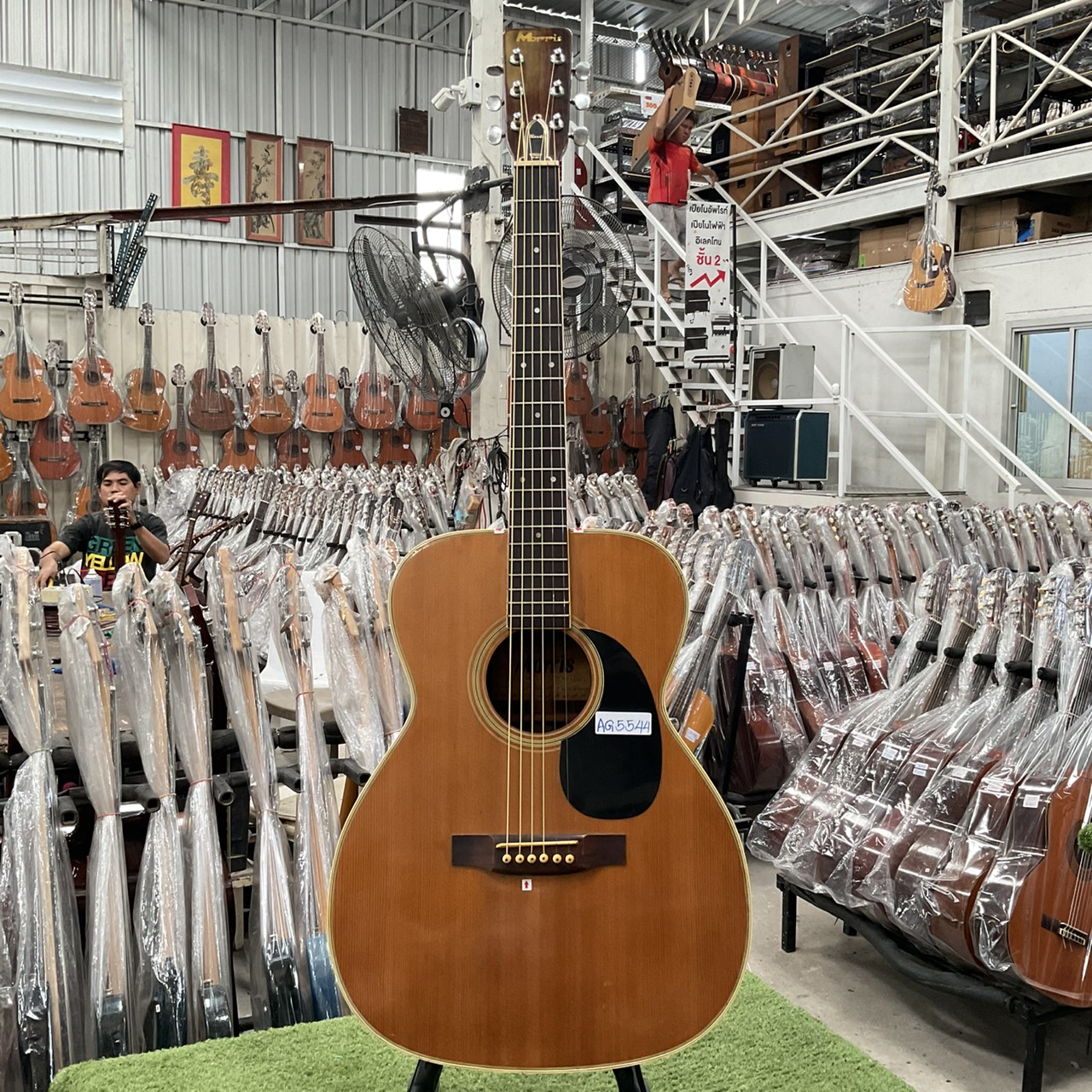 กีต้าร์โปร่ง MORRIS : F15