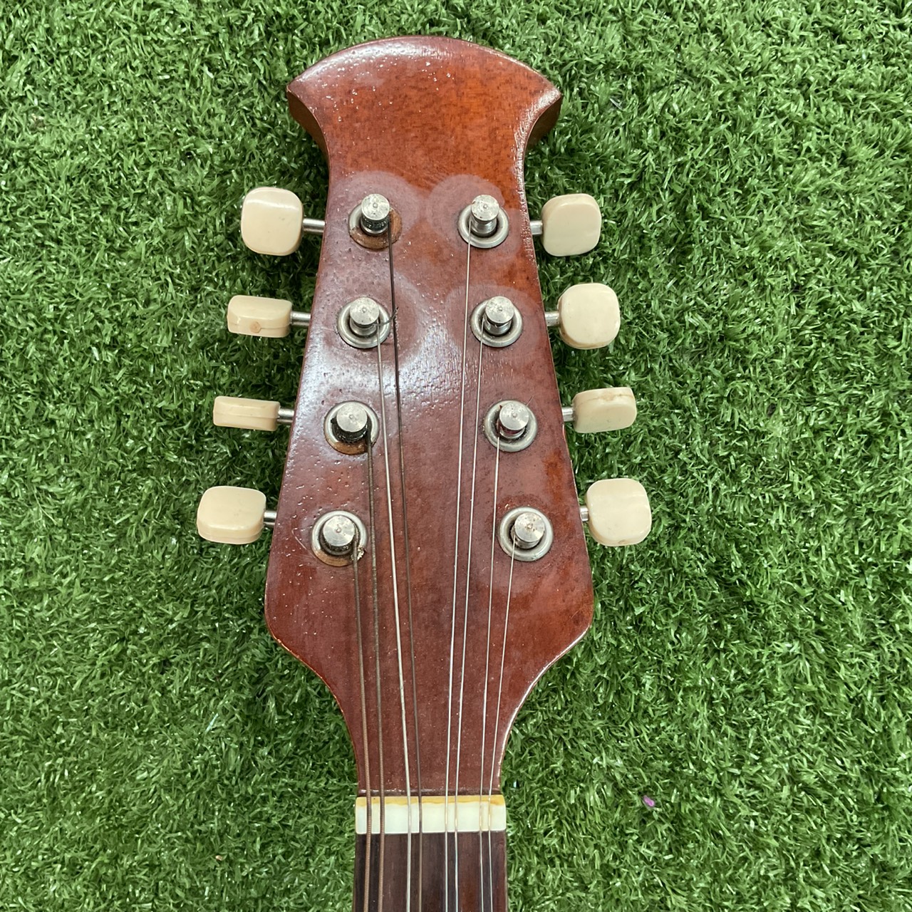 แมนโดลิน SUZUKI : No.228