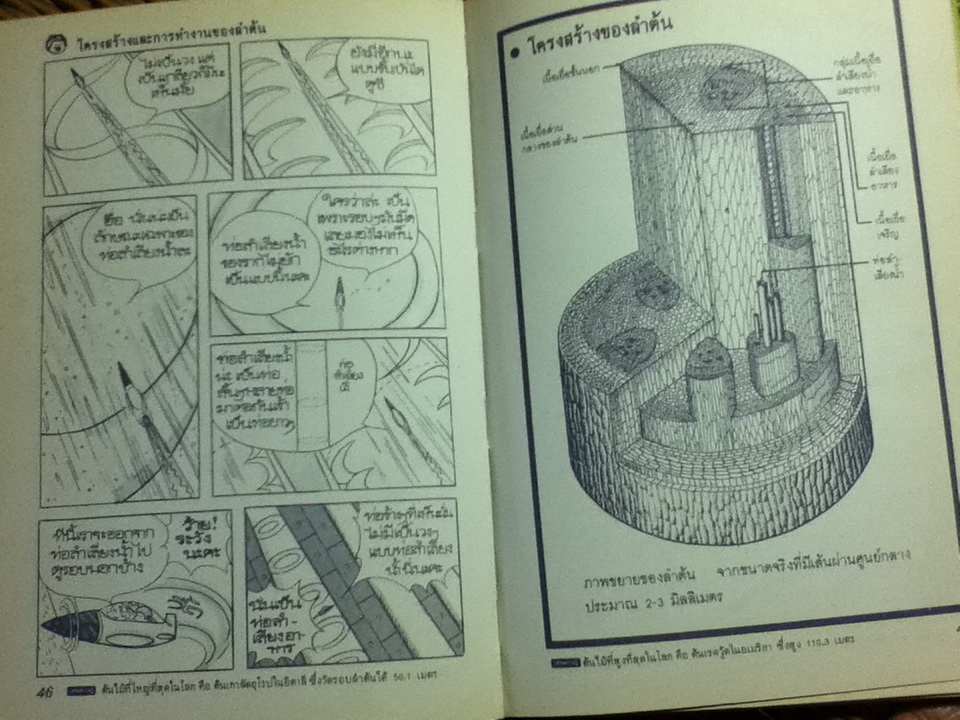 วิทยาศาสตร์อ่านสนุก เล่ม 1-9