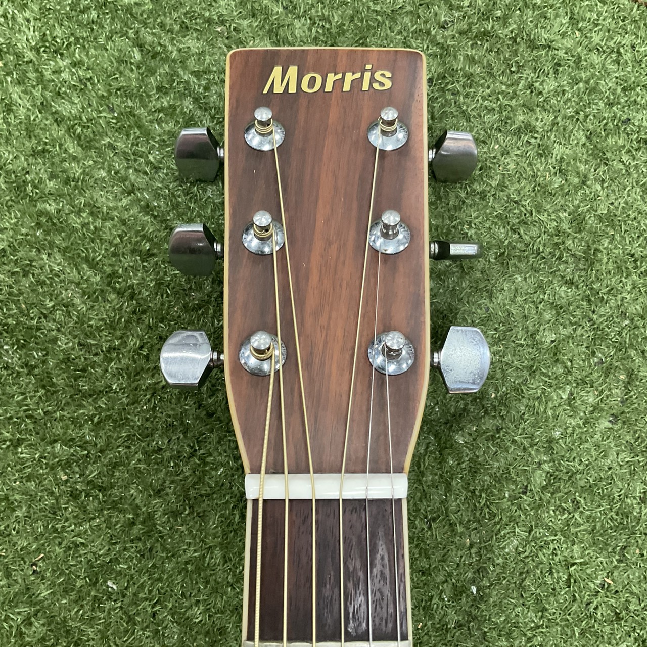 กีต้าร์โปร่ง Morris : W-25