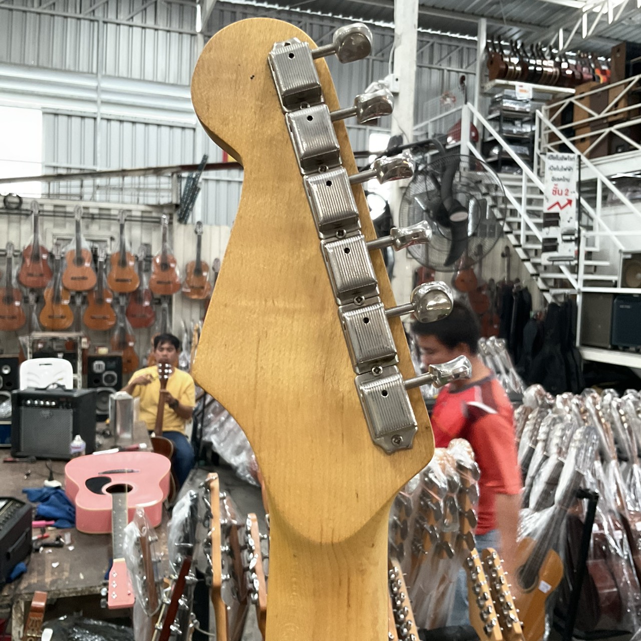 กีต้าร์ไฟฟ้า Bloom