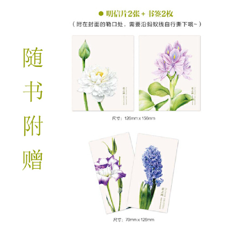 (Pre-order) หนังสือ FLOWER DRAWING