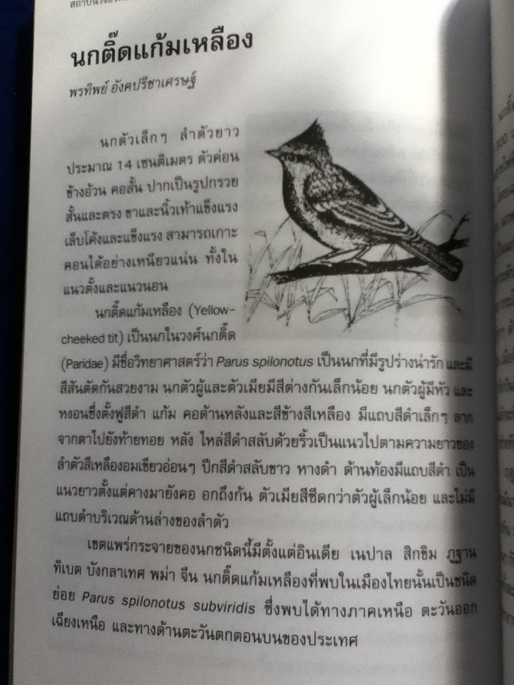 นก 2 วิทยาศาสตร์สำหรับเยาวชน ชุด สัตว์น่ารู้ (หนังสือแถม)