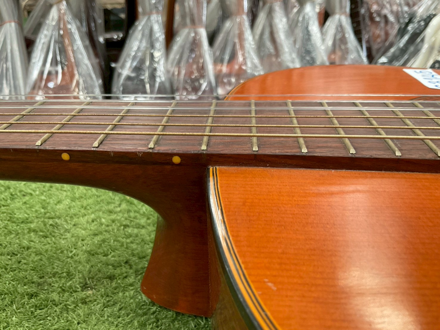 กีต้าร์คลาสสิค 鈴木 (Suzuki) : 35R