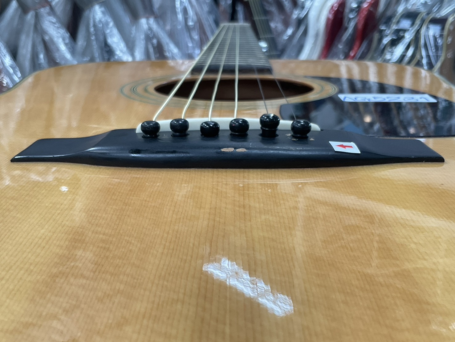 กีต้าร์โปร่ง Morris : W-15