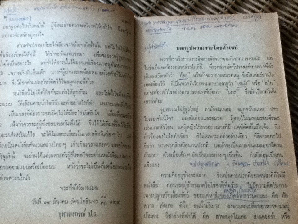 เงาะป่า