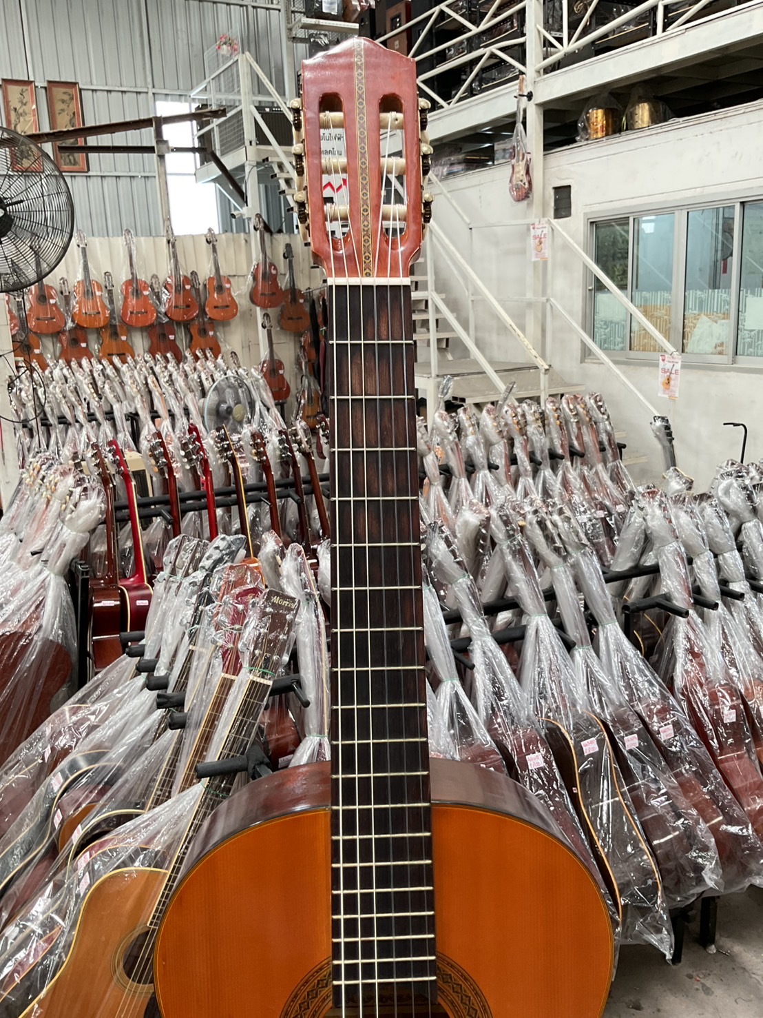 กีต้าร์คลาสสิค ZEN-ON GUT : No.70