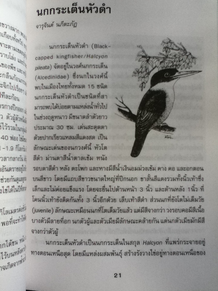 นก 2 วิทยาศาสตร์สำหรับเยาวชน ชุด สัตว์น่ารู้ (หนังสือแถม)