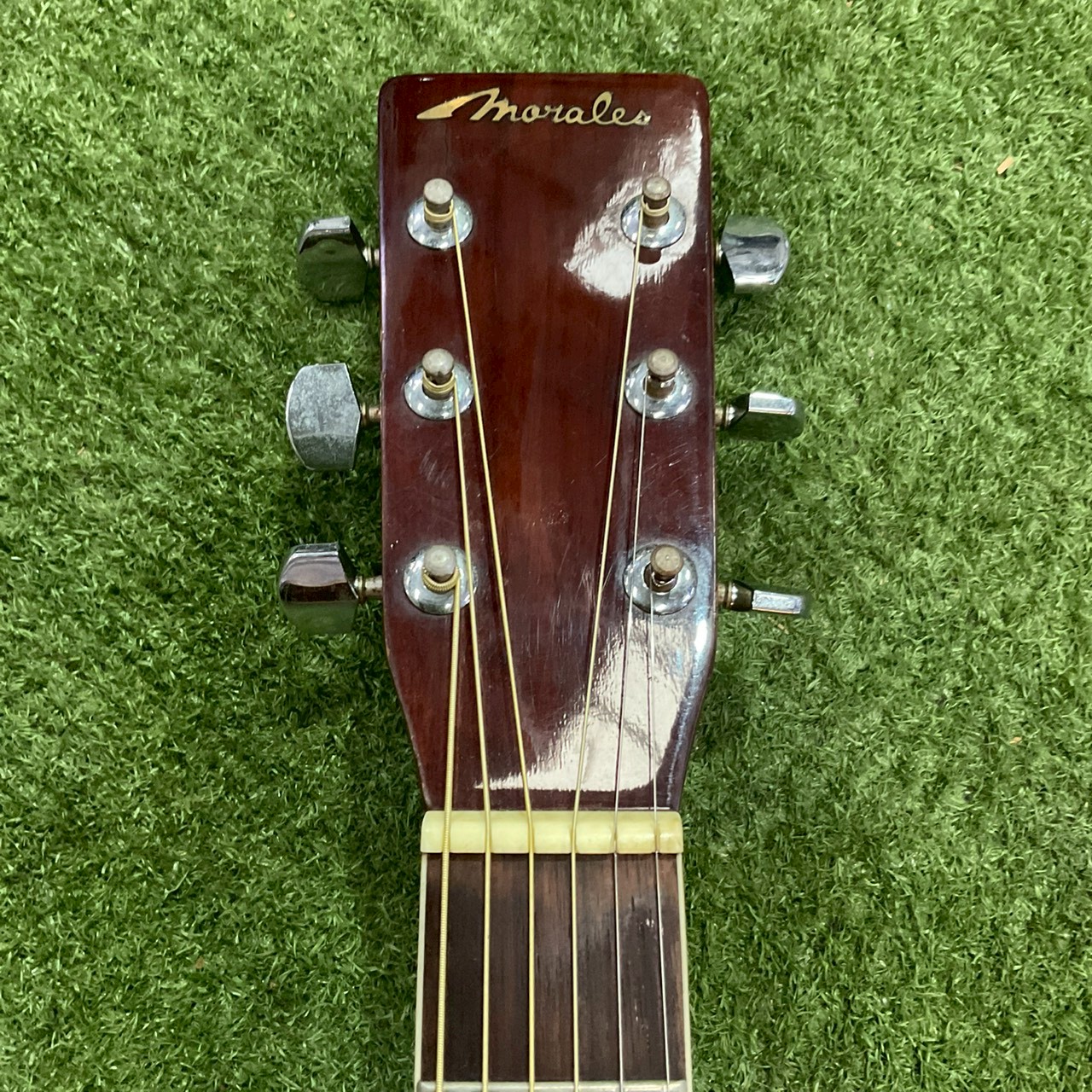 กีต้าร์โปร่ง Marales : MW-200