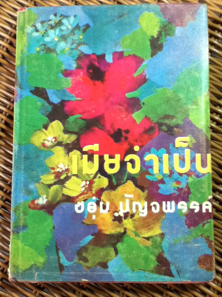 เมียจำเป็น